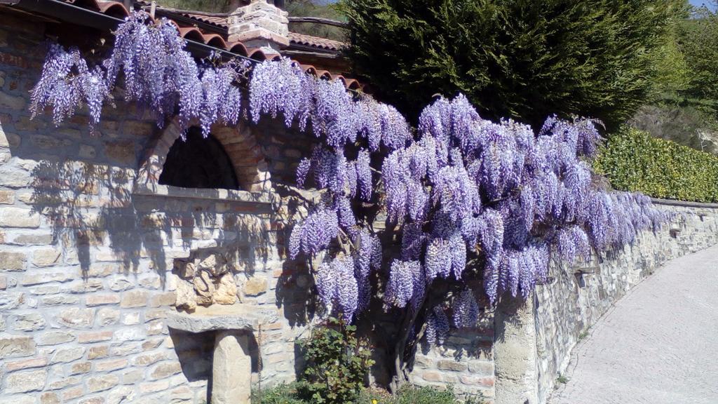 Cerretto Langhe Trattoria Del Bivioゲストハウス エクステリア 写真
